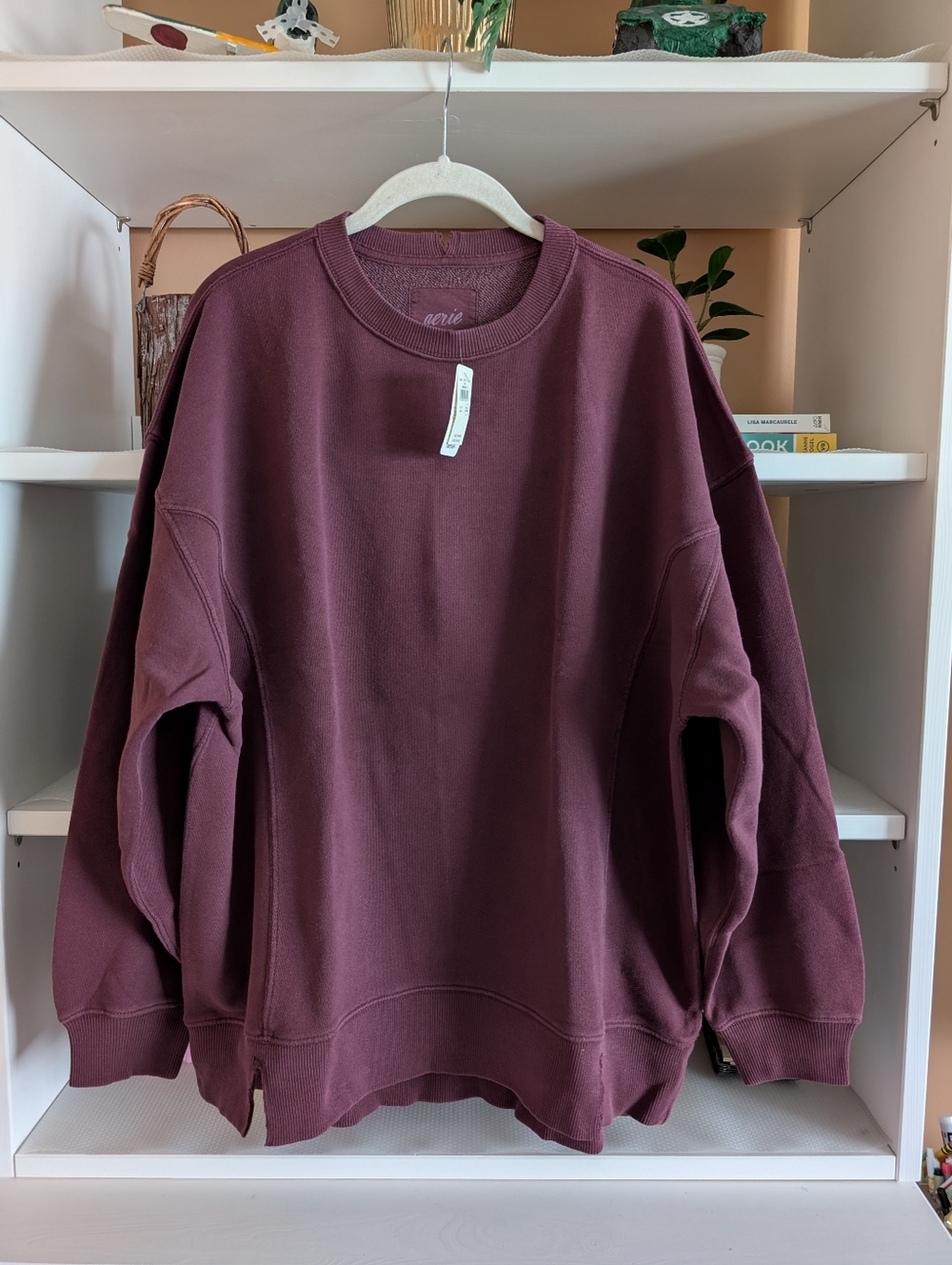 Aerie The Chill Crew Sweatshirt